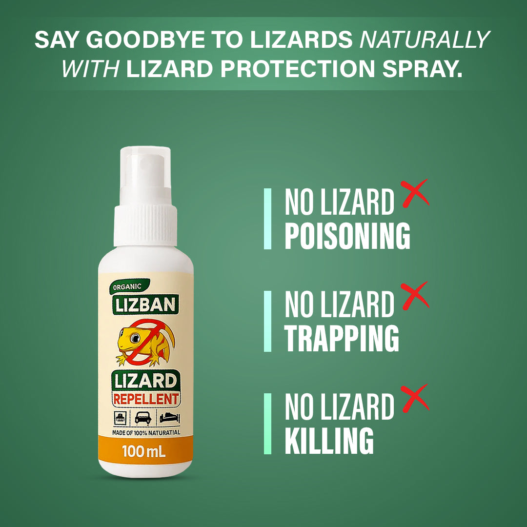 🔥 BUY 1 GET 2 FREE 🔥 Lizard Repellent Spray - Safe, Effective Lizard Protection